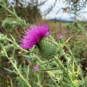 Meet your Posher, Annie